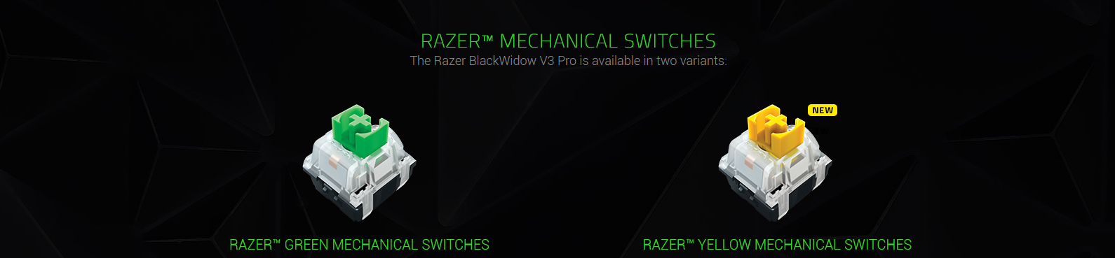 Bàn phím cơ Razer Blackwidow V3 Quartz Green Switch (USB/RGB/Hồng) (RZ03-03541800-R3M1) sử dụng switch Razer độc quyền
